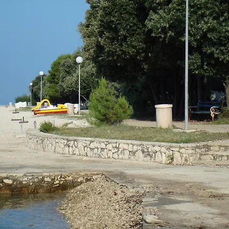 Diva Punta Skala *